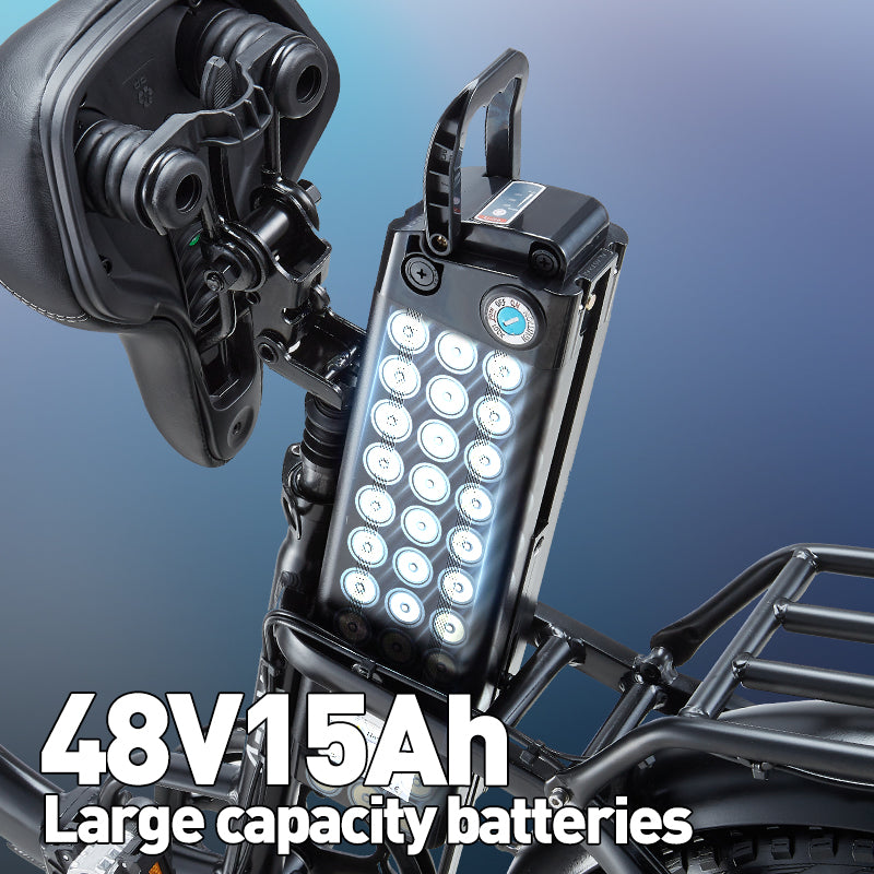 (Pre-sale) BURCHDA-R8FV-20 inch snow e-bike 4.0 tire