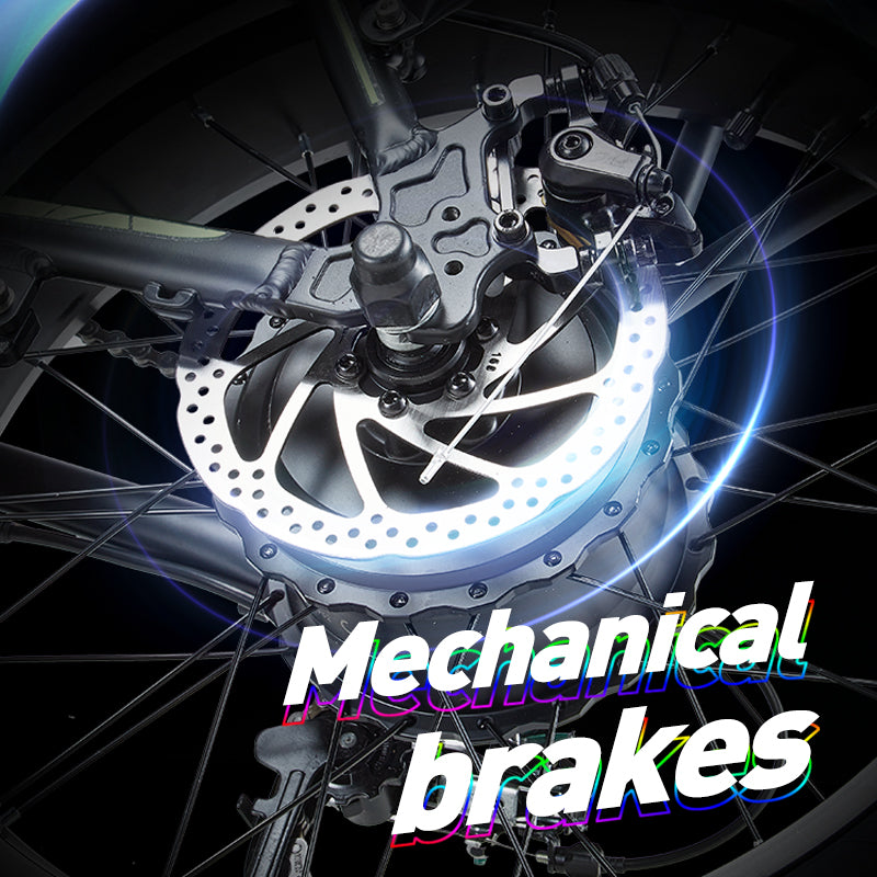 (Pre-sale) BURCHDA-R8FV-20 inch snow e-bike 4.0 tire