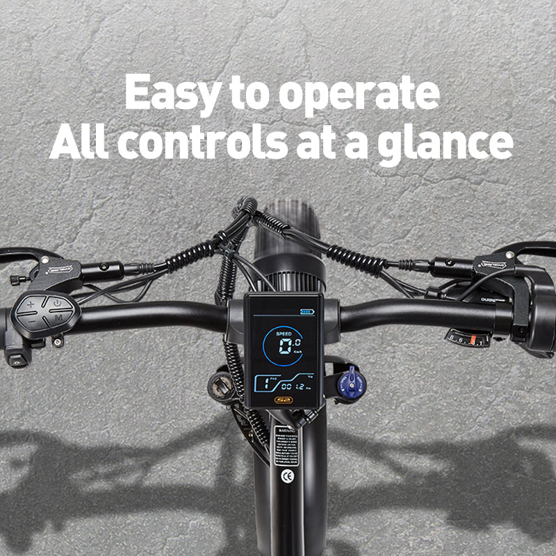 (Pre-sale) BURCHDA-R8V-20 inch snow e-bike 4.0 tire