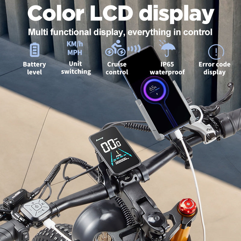 BURCHDA-RX80-26 inch soft tail snow electric bike 4.0 tire