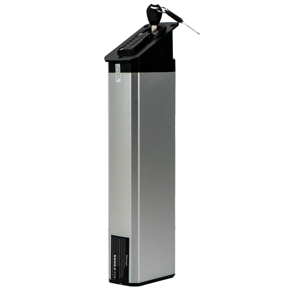 BURCHDA Battery-48V 20Ah-For R5Pro