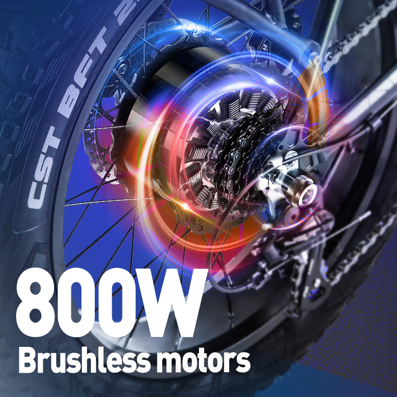 (Pre-sale) BURCHDA-R8FV-20 inch snow e-bike 4.0 tire