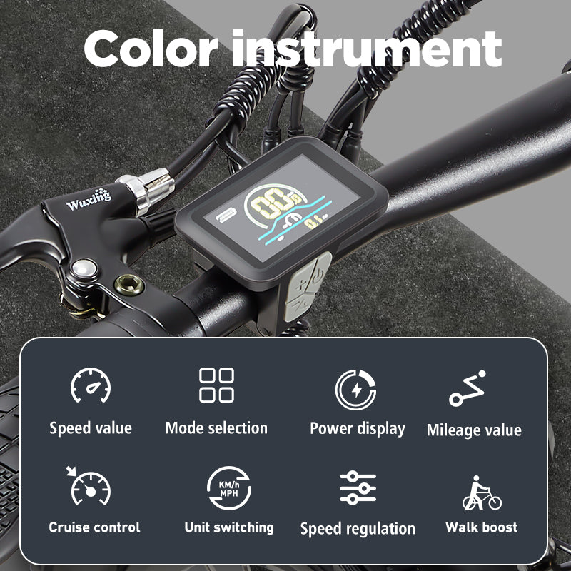 BURCHDA-RX20-26 inch snow e-bike 4.0 tires