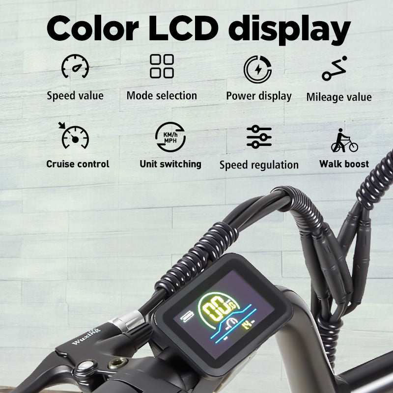 (Pre-sale) BURCHDA-U2-20 inch snow electric bike 3.0